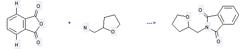 Tetrahydrofurfurylamine can be used to produce N-tetrahydrofurfuryl-phthalimide with phthalic acid anhydride by heating